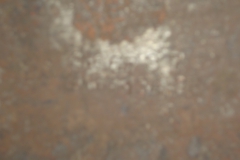 DSC00832